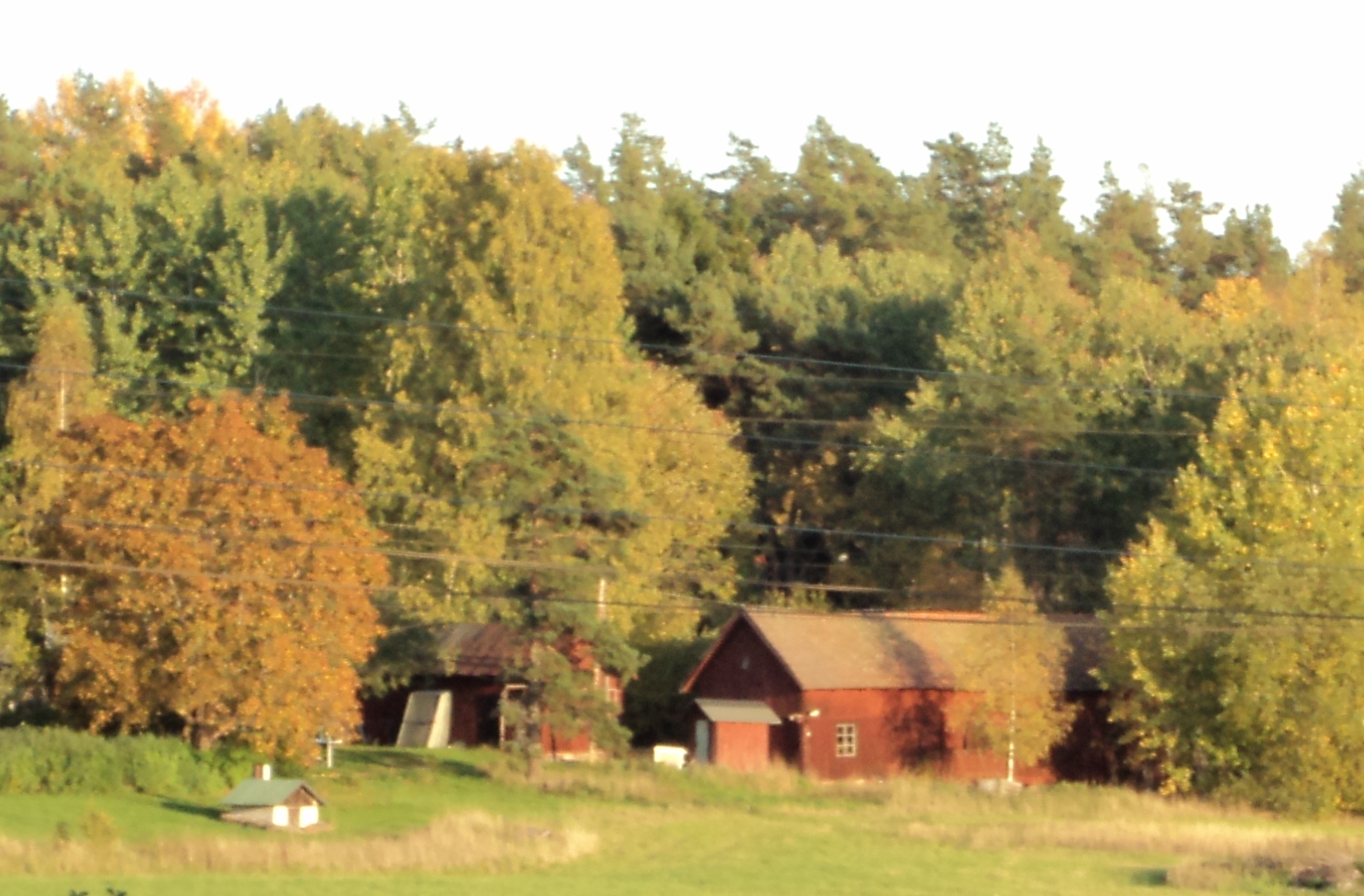 La petite maison (suédoise) dans la prairie.