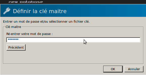 Capture d'écran montrant la fenêtre de confirmation du mot de passe.